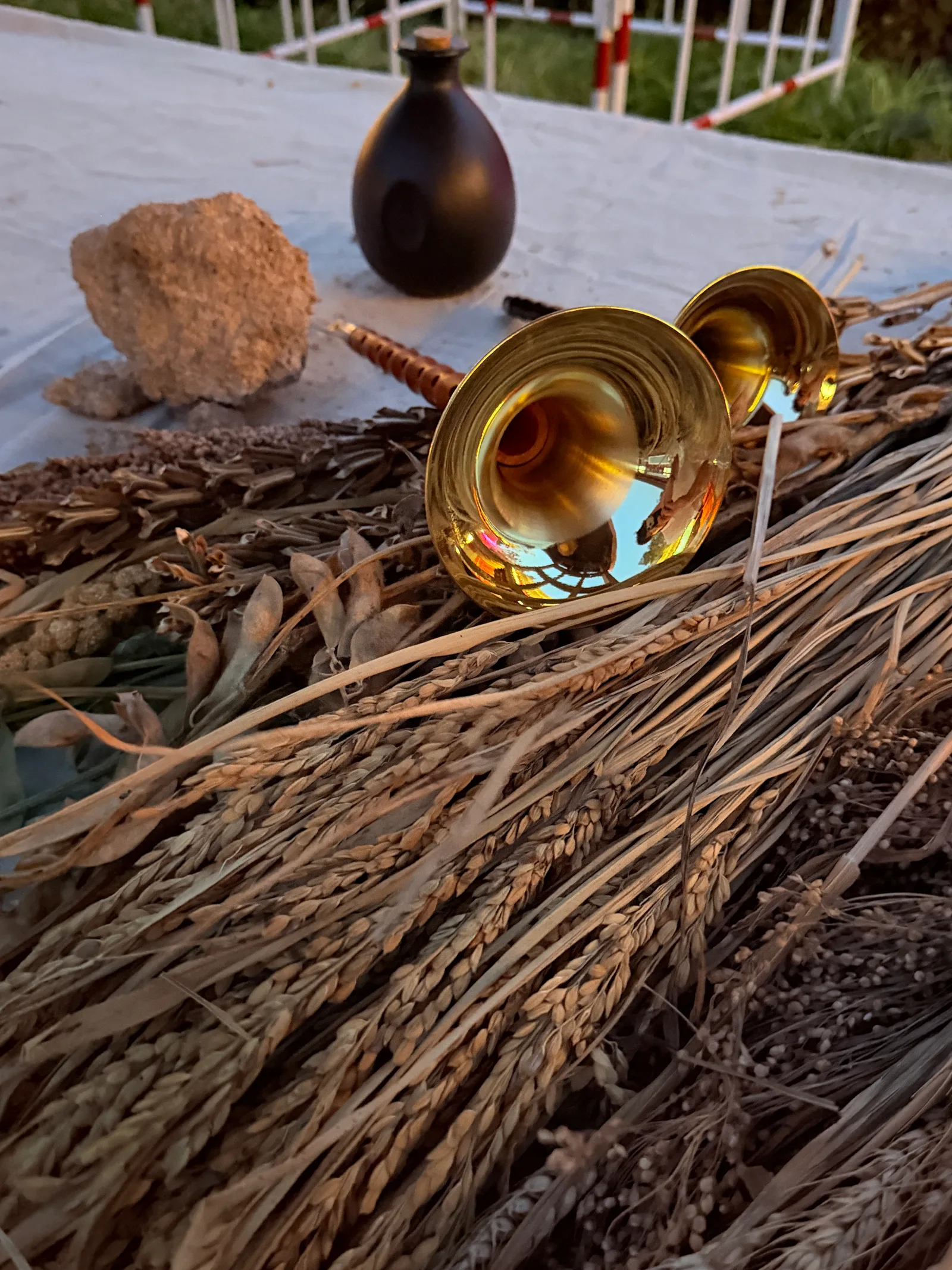 A close view of brass-belled suona instruments resting on dried grain.